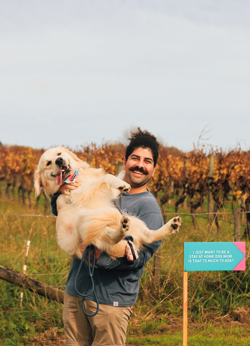 Discover Wine Dogs Festival this April!