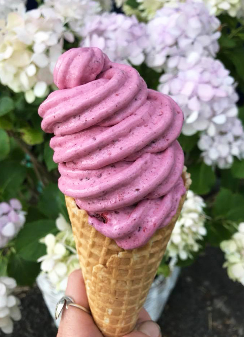Seven of the best: real fruit ice-cream stops
