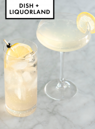 Drinks with dish + Liquorland: Gin cocktails for your entertaining repertoire