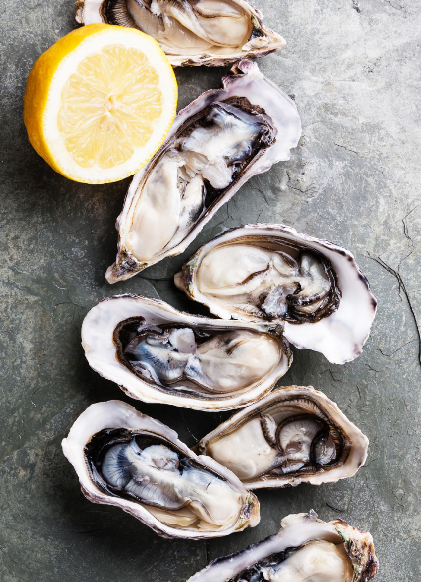 Six of the best places in the North Island to enjoy oysters