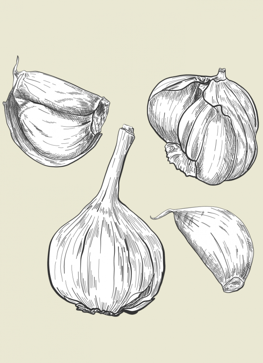 In season: cooking with garlic 101